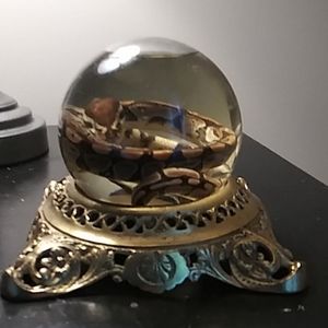 baby boaconstrictor and bat in a globe
